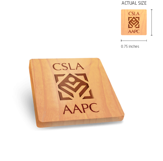 CSLA President's Pin Design